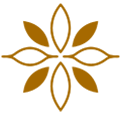 mente reiki-equilibrium-mente